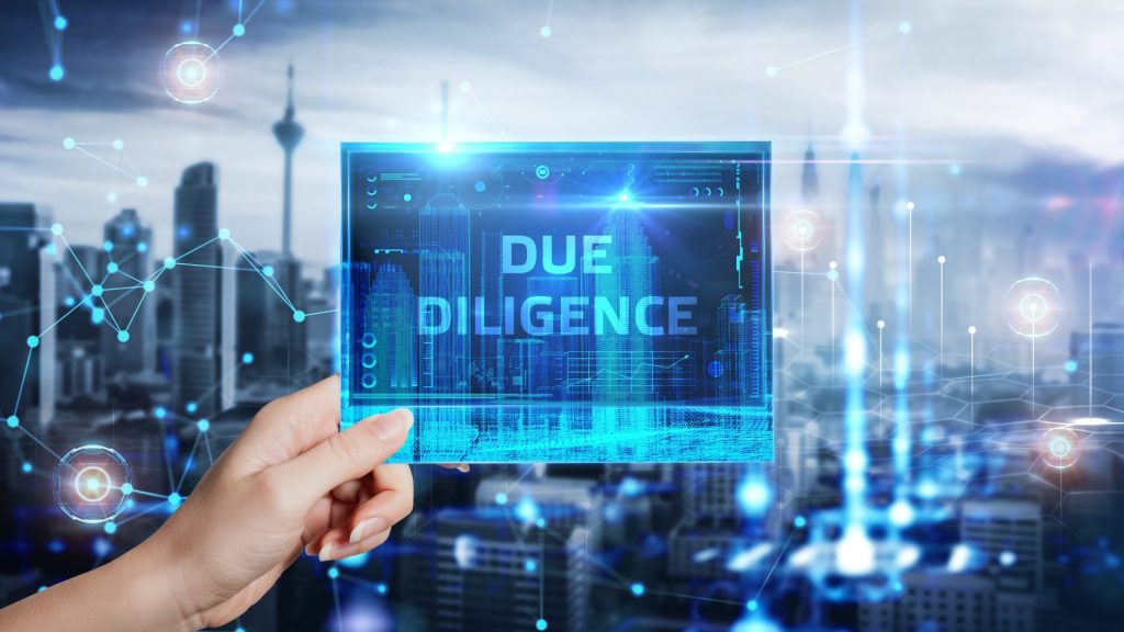 due diligence, diligence, audit